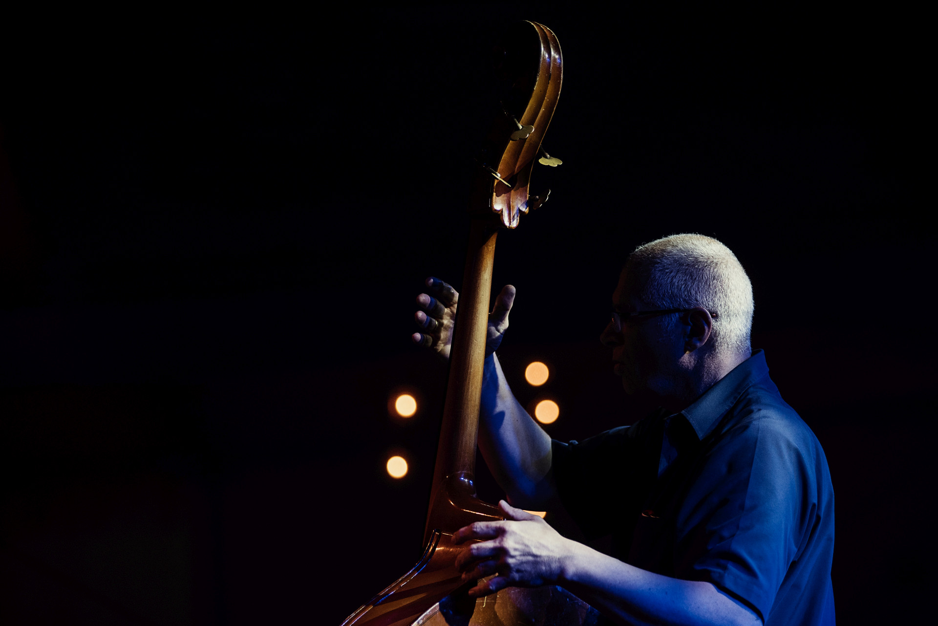 Ignacy-Tokarczyk-DSC_6359Kammerflimmer Ignacy-Tokarczyk-DSC_6359Kammerflimmer